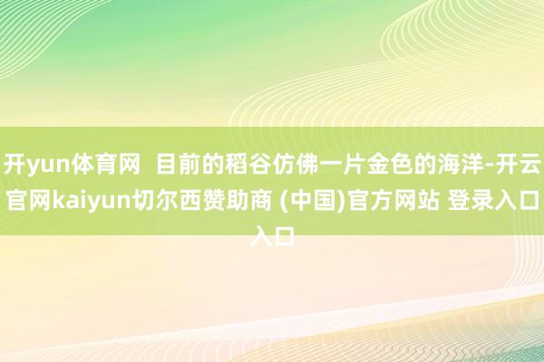 开yun体育网  目前的稻谷仿佛一片金色的海洋-开云官网kaiyun切尔西赞助商 (中国)官方网站 登录入口