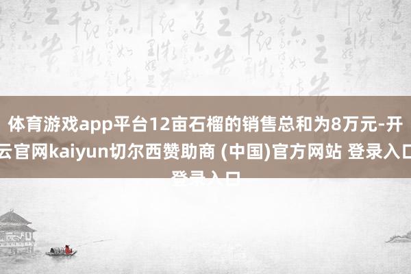 体育游戏app平台12亩石榴的销售总和为8万元-开云官网kaiyun切尔西赞助商 (中国)官方网站 登录入口