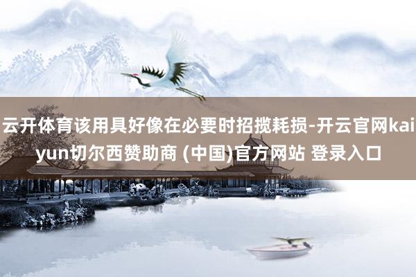 云开体育该用具好像在必要时招揽耗损-开云官网kaiyun切尔西赞助商 (中国)官方网站 登录入口