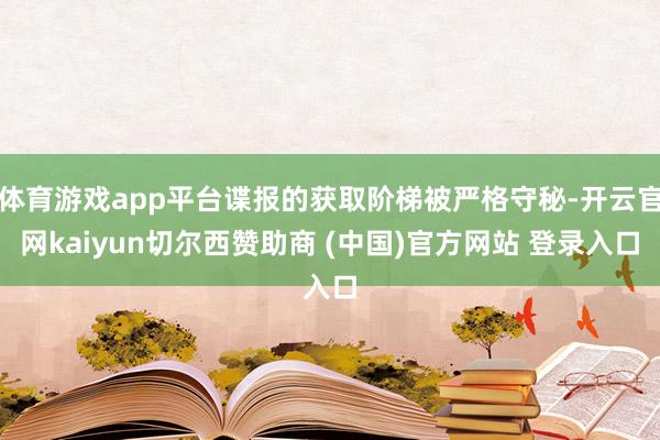 体育游戏app平台谍报的获取阶梯被严格守秘-开云官网kaiyun切尔西赞助商 (中国)官方网站 登录入口