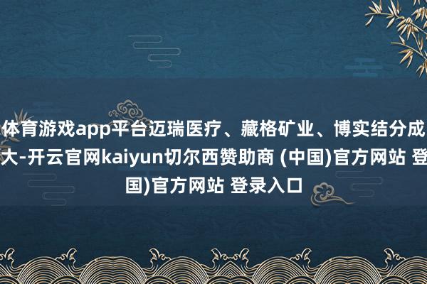 体育游戏app平台迈瑞医疗、藏格矿业、博实结分成力度最大-开云官网kaiyun切尔西赞助商 (中国)官方网站 登录入口