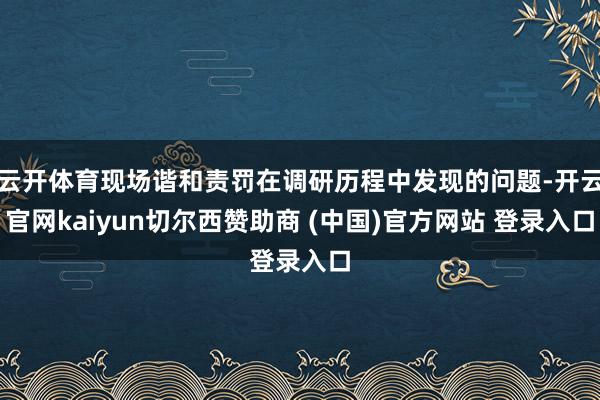 云开体育现场谐和责罚在调研历程中发现的问题-开云官网kaiyun切尔西赞助商 (中国)官方网站 登录入口