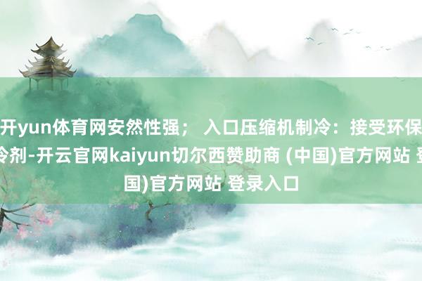 开yun体育网安然性强； 入口压缩机制冷：接受环保无氟制冷剂-开云官网kaiyun切尔西赞助商 (中国)官方网站 登录入口