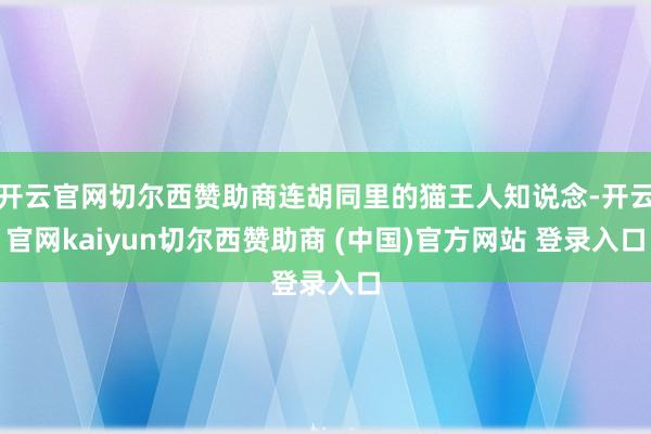 开云官网切尔西赞助商连胡同里的猫王人知说念-开云官网kaiyun切尔西赞助商 (中国)官方网站 登录入口