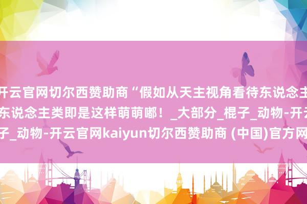 开云官网切尔西赞助商“假如从天主视角看待东说念主类...？”哈哈哈咱们东说念主类即是这样萌萌嘟！_大部分_棍子_动物-开云官网kaiyun切尔西赞助商 (中国)官方网站 登录入口