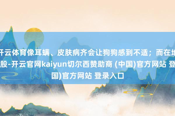 开云体育像耳螨、皮肤病齐会让狗狗感到不适；而在地上蹭屁股-开云官网kaiyun切尔西赞助商 (中国)官方网站 登录入口