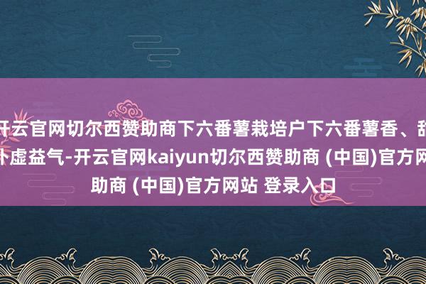 开云官网切尔西赞助商下六番薯栽培户下六番薯香、甜、粉、滑、补虚益气-开云官网kaiyun切尔西赞助商 (中国)官方网站 登录入口