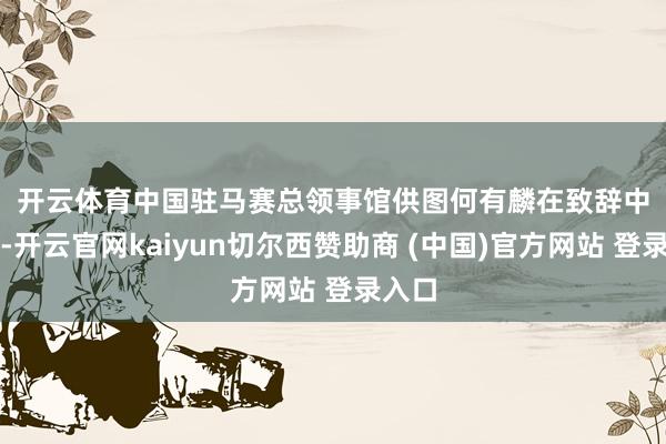 开云体育　中国驻马赛总领事馆供图　　何有麟在致辞中暗示-开云官网kaiyun切尔西赞助商 (中国)官方网站 登录入口