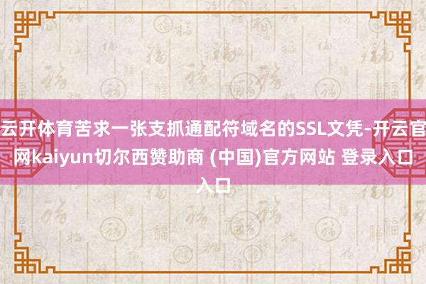 云开体育苦求一张支抓通配符域名的SSL文凭-开云官网kaiyun切尔西赞助商 (中国)官方网站 登录入口